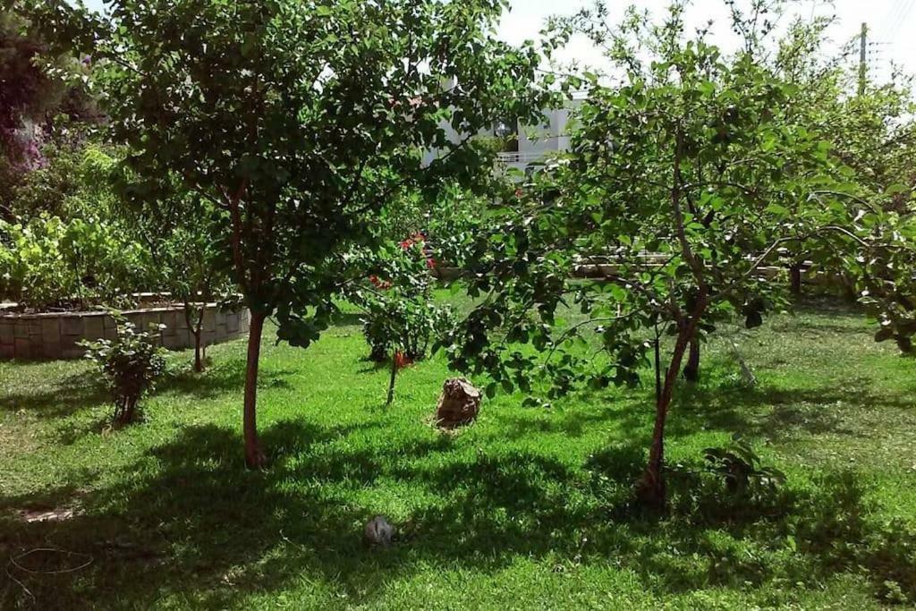 Sunny Garden Studio Атина Екстериор снимка